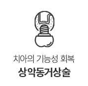 상악동거상술