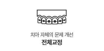 전체교정